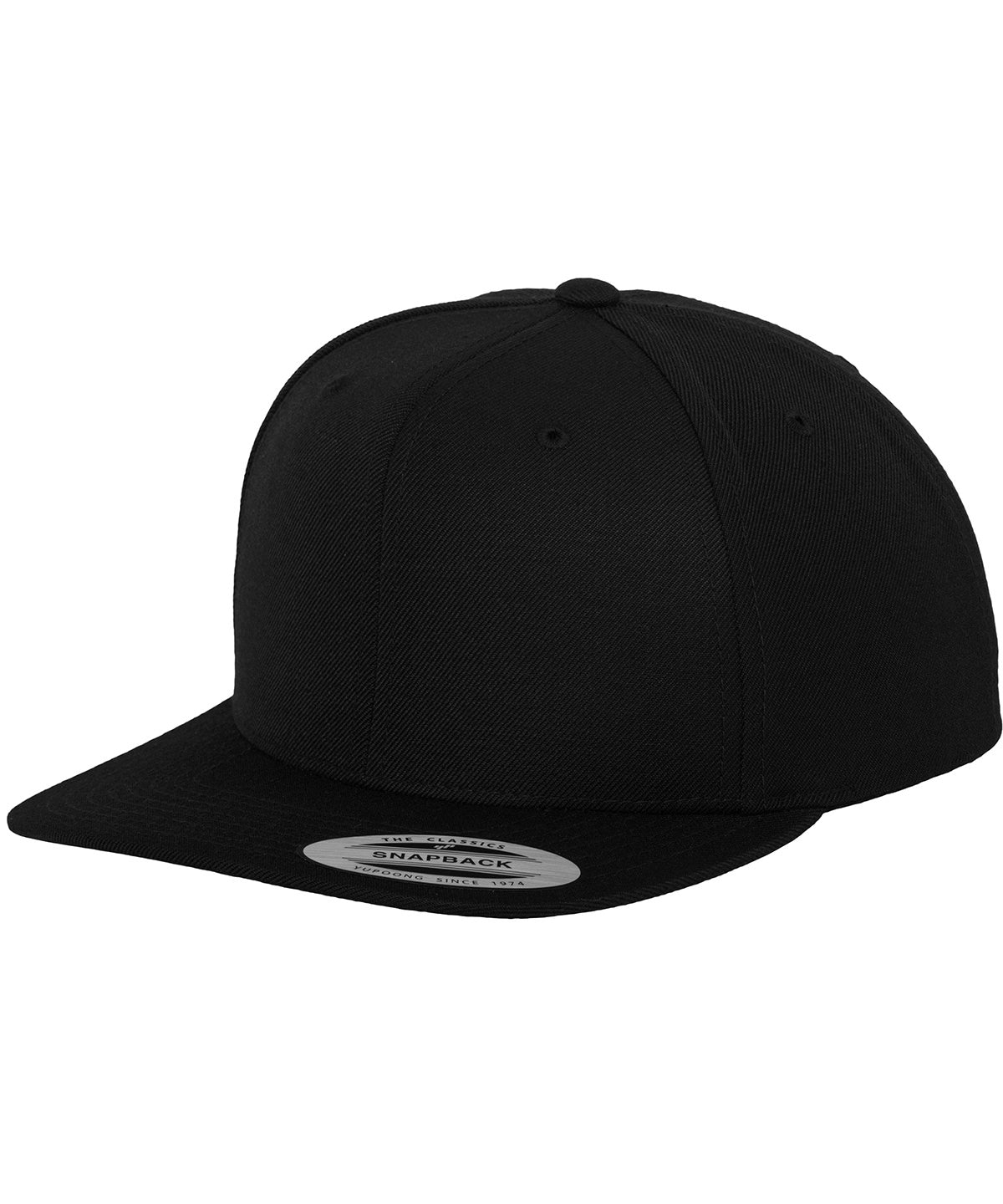 Flexfit By Yupoong The Classic Snapback (6089M)