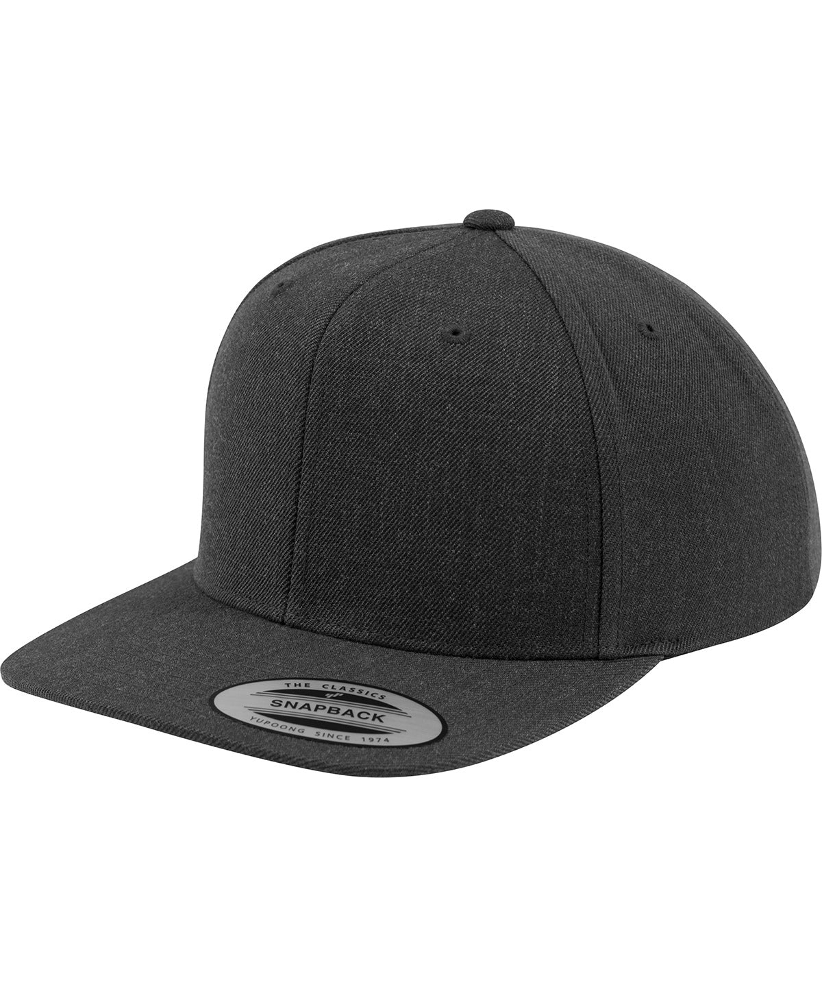 Flexfit By Yupoong The Classic Snapback (6089M)