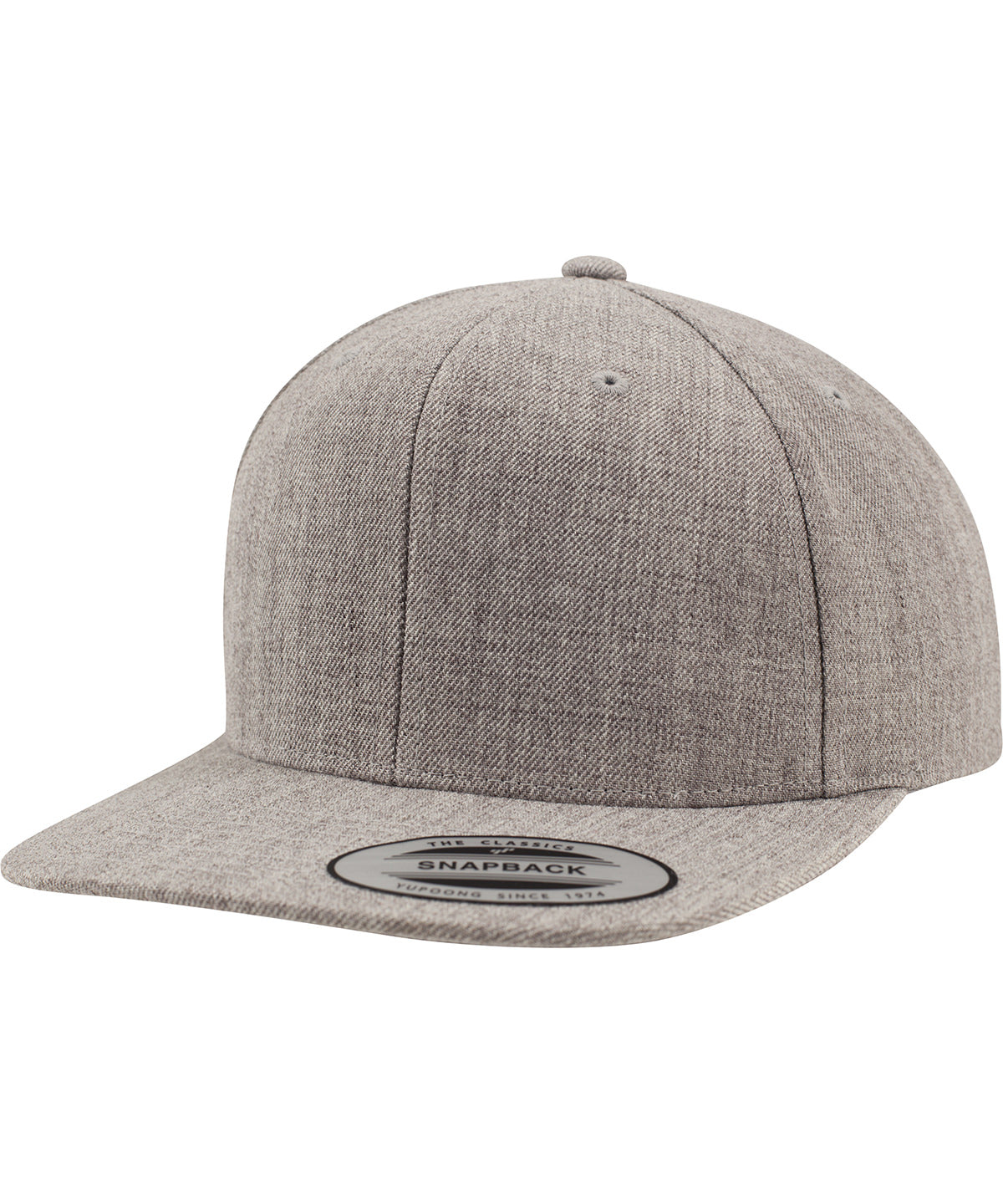 Flexfit By Yupoong The Classic Snapback (6089M)