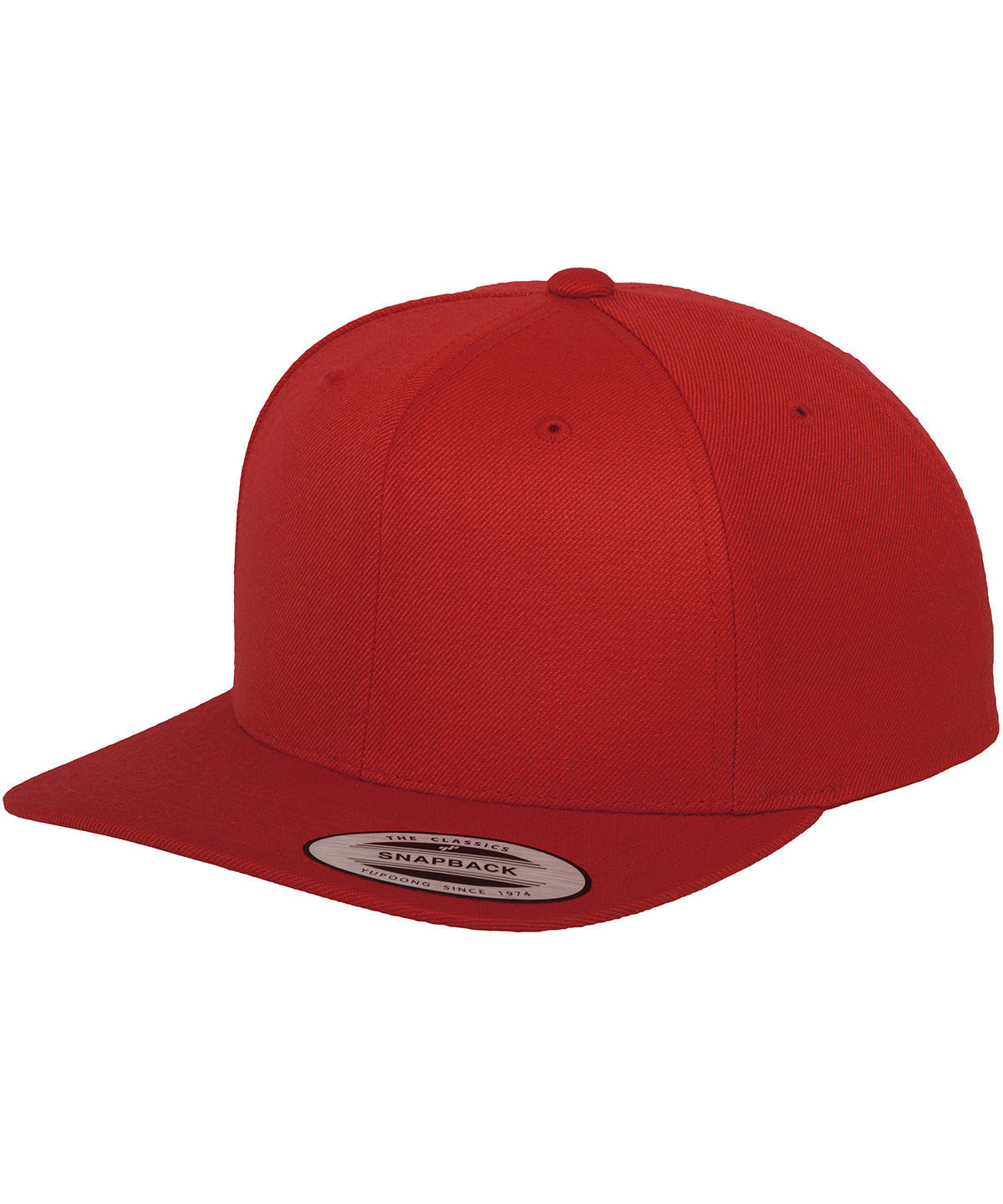 Flexfit By Yupoong The Classic Snapback (6089M)