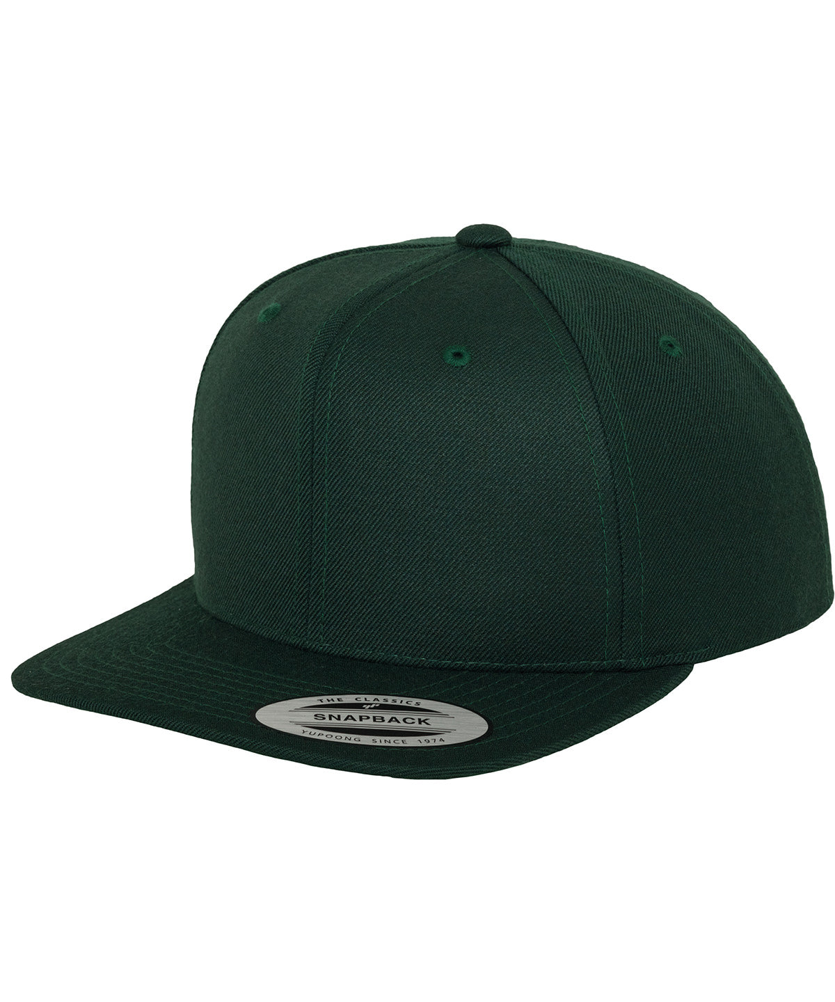 Flexfit By Yupoong The Classic Snapback (6089M)