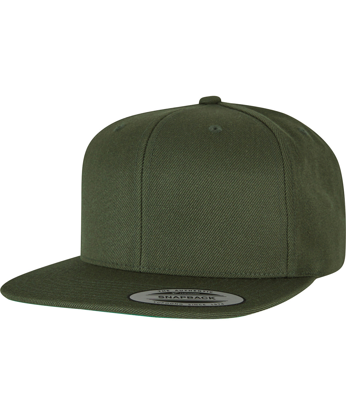 Flexfit By Yupoong The Classic Snapback (6089M)