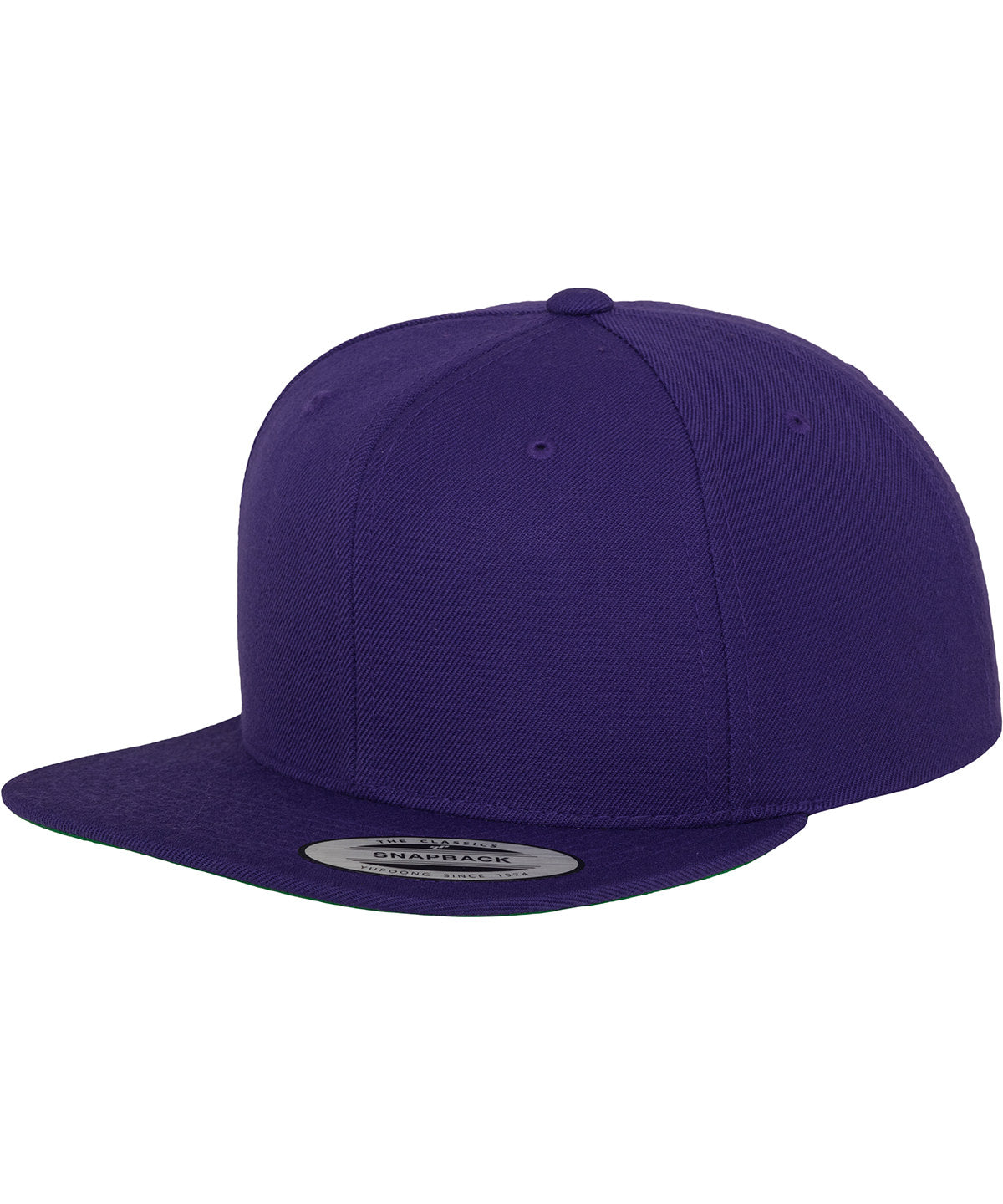 Flexfit By Yupoong The Classic Snapback (6089M)