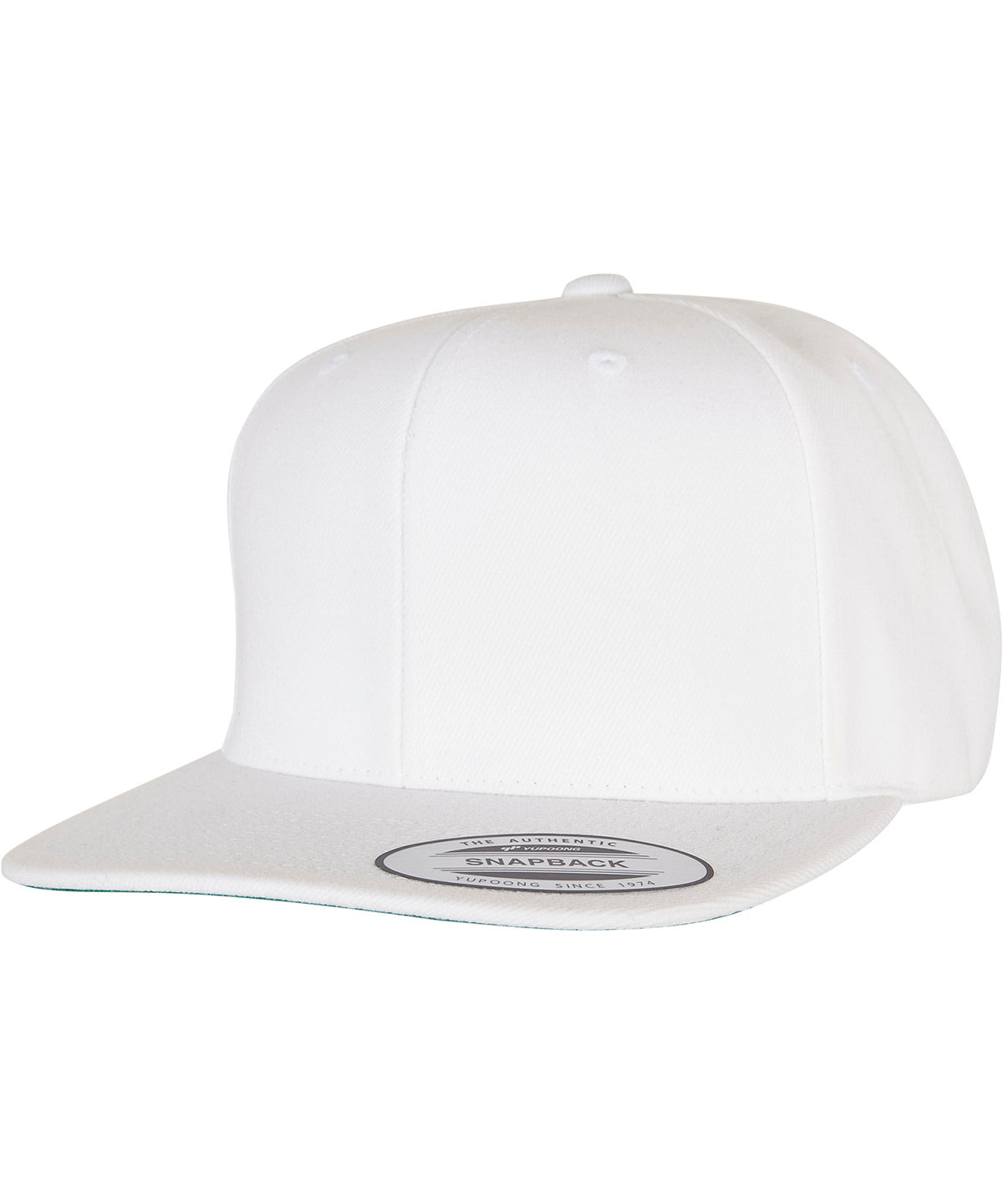 Flexfit By Yupoong The Classic Snapback (6089M)